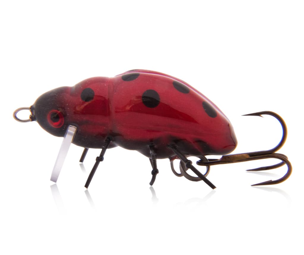 Ladybirds