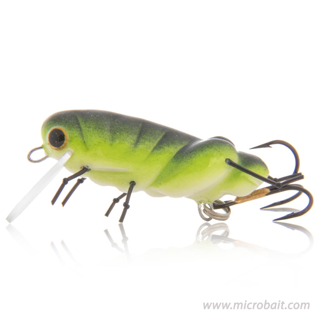 Grasshoppers