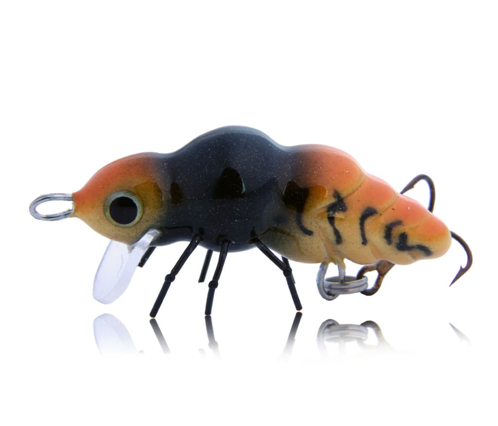 Wasps & Hornets